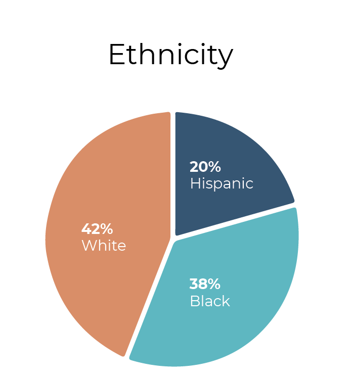 pie chart depicting ethnicity demographics. 42% White in an orange portion, 38% Black in a teal portion, 20% Hispanic in a navy portion. 