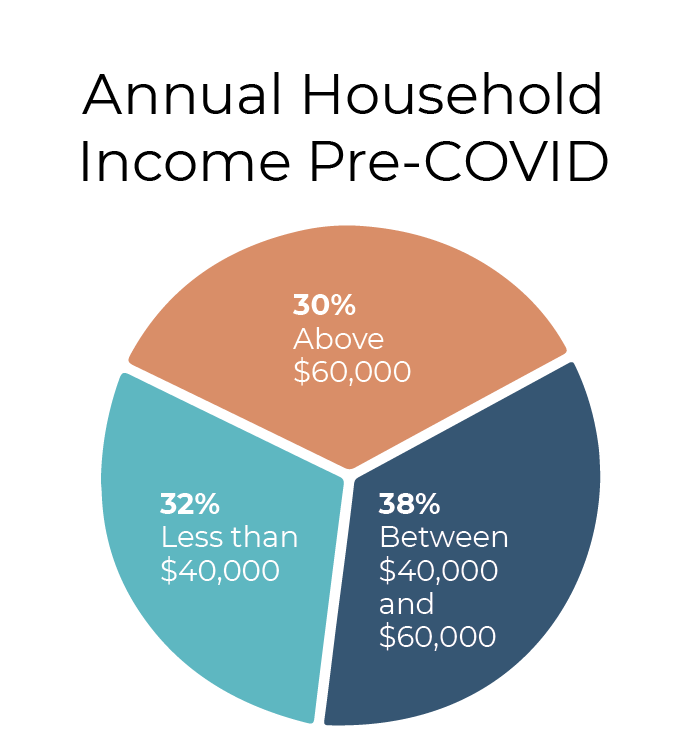 Annual Household Income Pre-COVID demographic pie chart. 38% between $40,000 and $60,000 in a navy portion; 32% less than $40,000 in a teal portion; 30% above $60,000 in orange portion